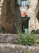 Coquelicot à l’entrée de la maison